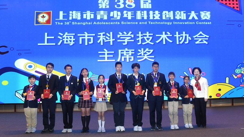 企业智慧解决方案：资质要求解析与关键考量